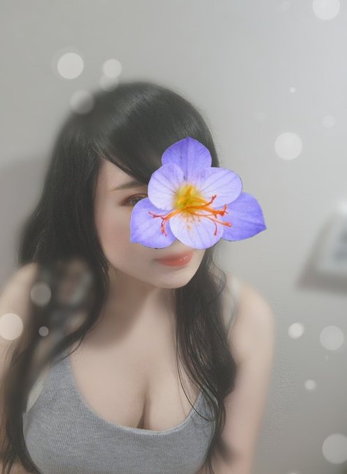4/23(水)11:00〜18:00の画像