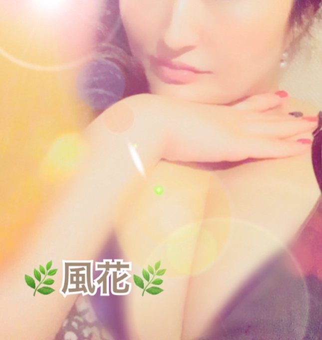 ❤️お礼❤️⚜️ご新規様⚜️の画像