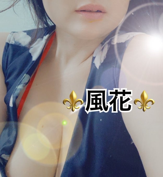 ❤️お礼❤️⚜️ラスト会員の画像