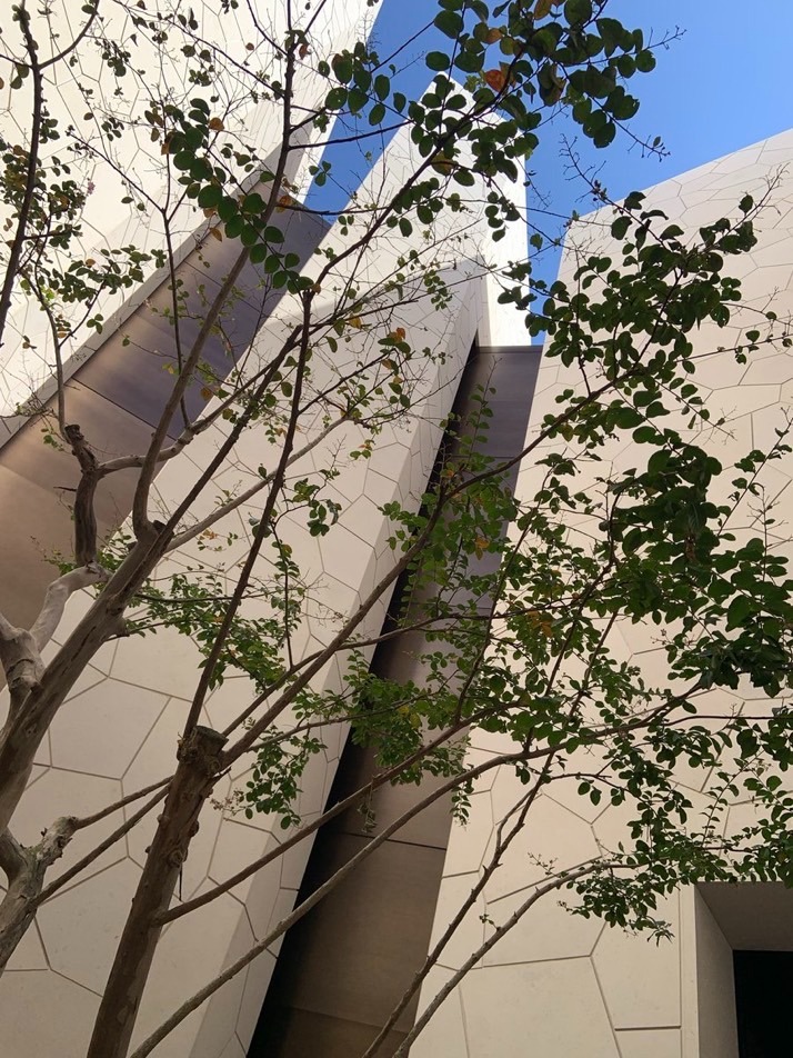 こんばんは♪お久しぶの画像