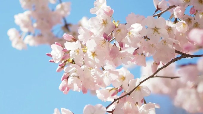 今日来てくださったおの画像