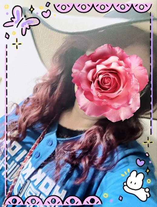 先程の🙋‍♂️さの画像