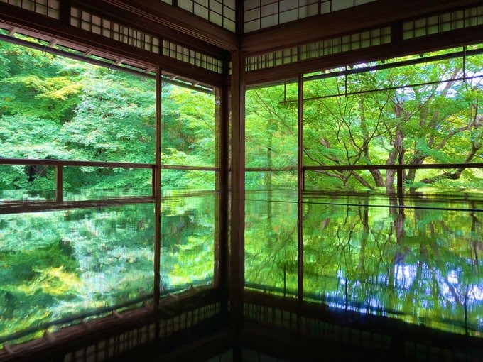 　10:00-17:00　　(15の画像