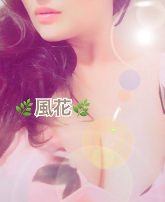 オンリーワンの姫予約の画像