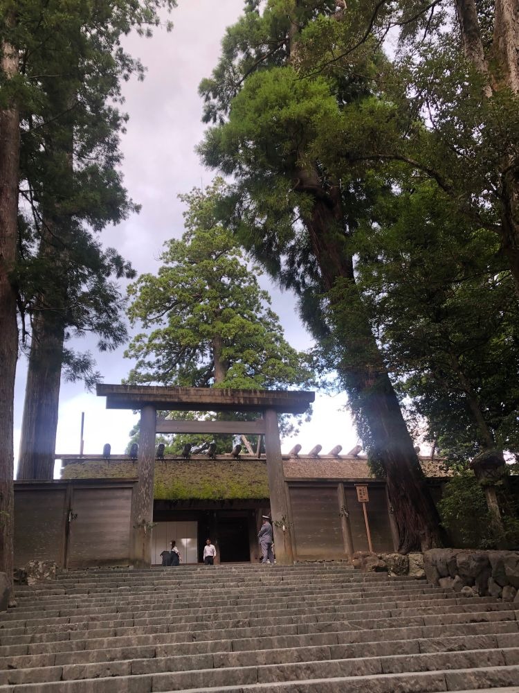 お久しぶりの投稿✏️での画像