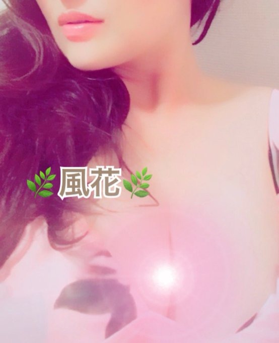 ⚜️&#x1F233;情報⚜️ごの画像
