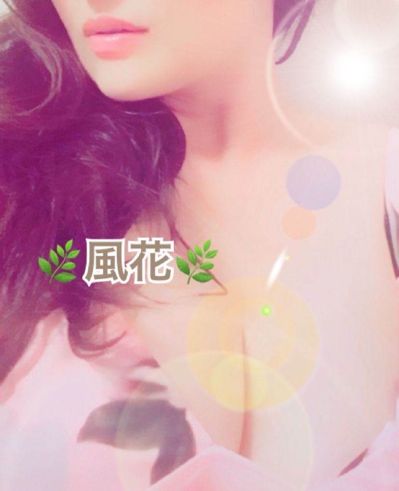 ❤️お礼❤️⚜️ご新規様⚜️の画像