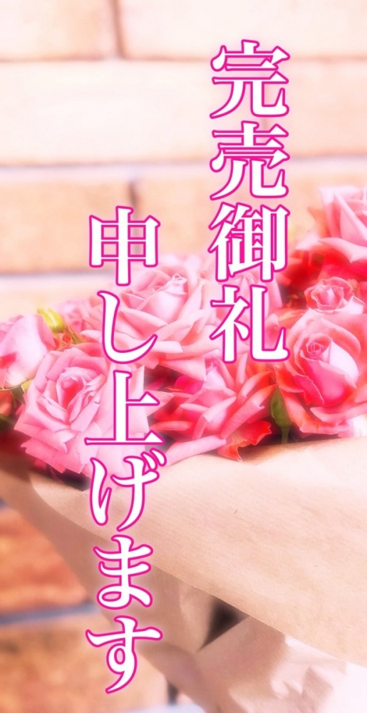 紗奈(さな)の日記