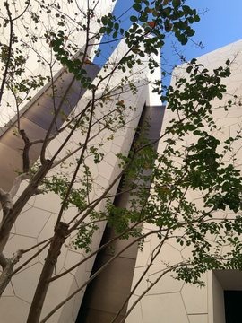 こんばんは♪お久しぶの画像