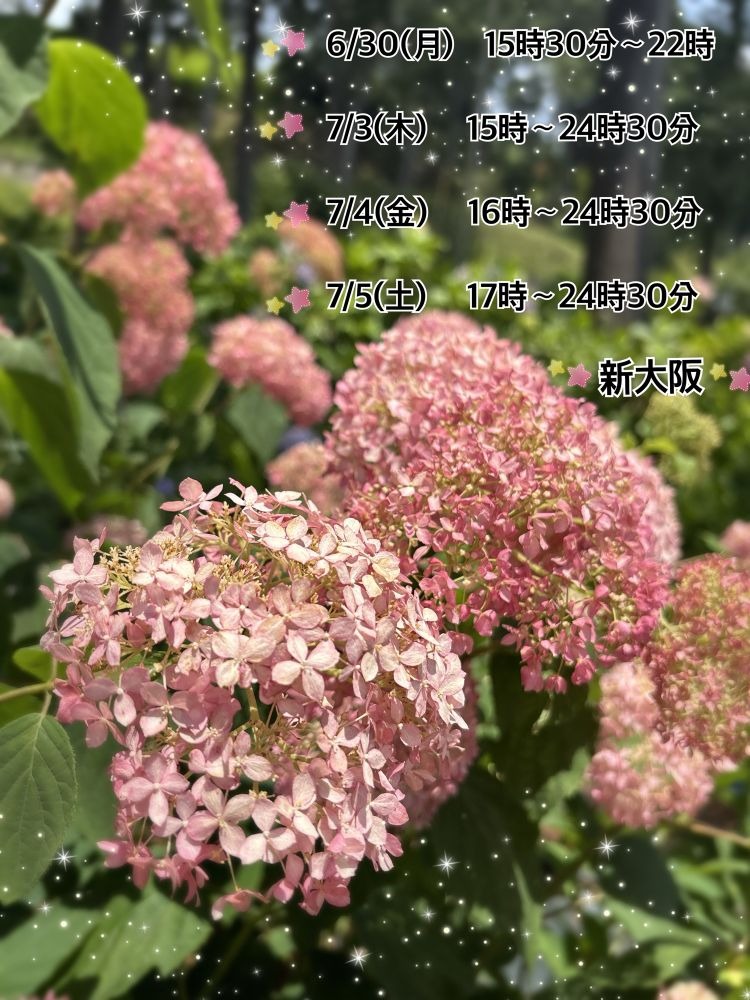 &#x1F352;今週の出勤の画像