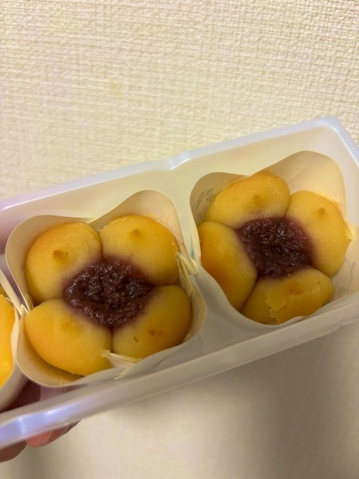 先日いただいた九州のの画像