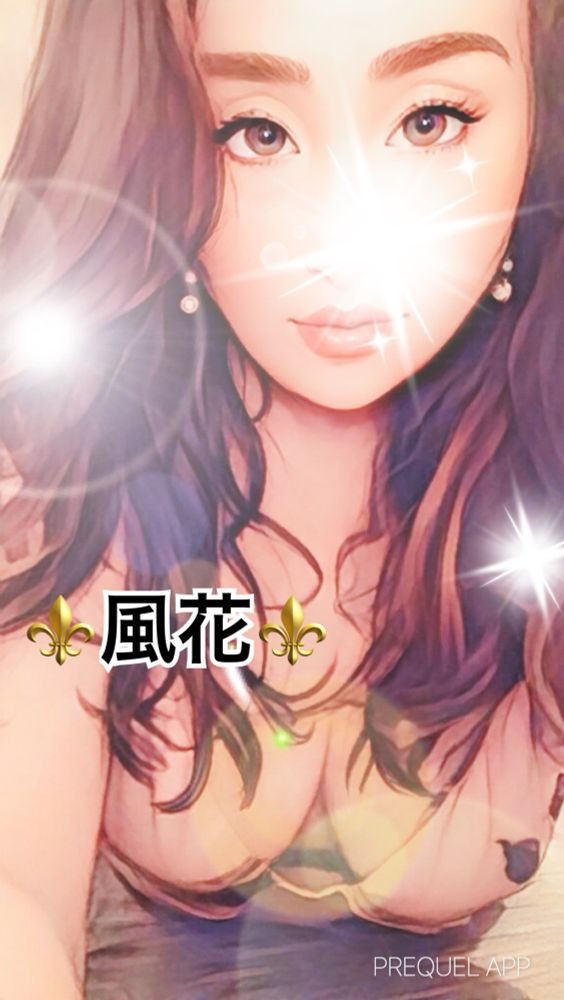 ⚜️⚜️⚜️⚜️⚜️⚜️⚜️⚜️⚜️⚜️の画像