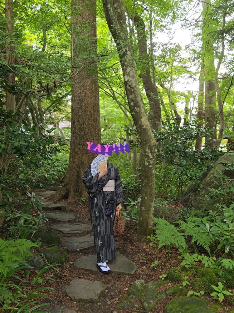 洋子（ようこ）の日記