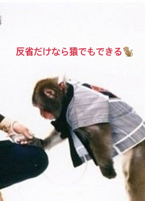 世の中に反省しない人の画像
