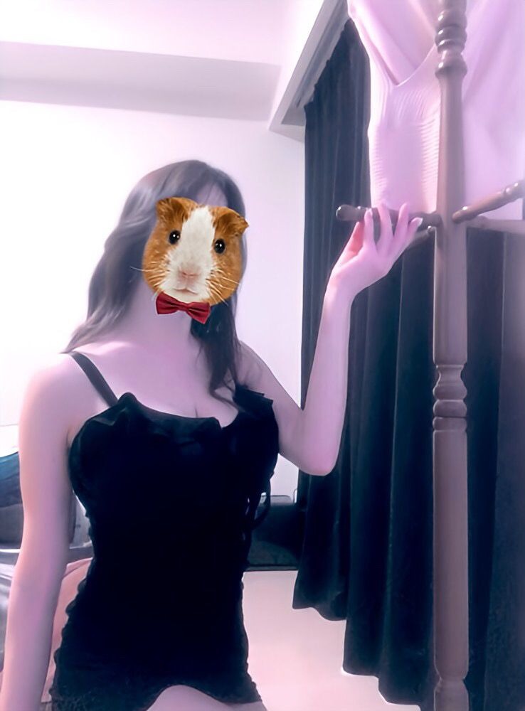 お初様祭り💚✨の画像