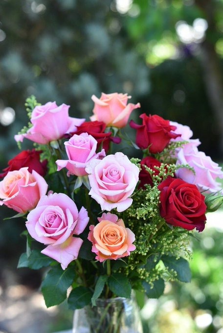 春-はる-の日記