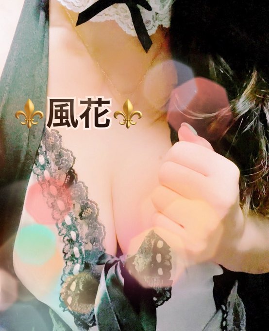 ⚜️⚜️⚜️⚜️⚜️⚜️⚜️リピさの画像