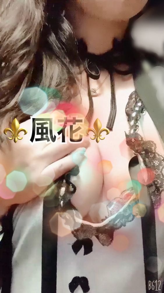❤️お礼❤️⚜️フォロワーの画像