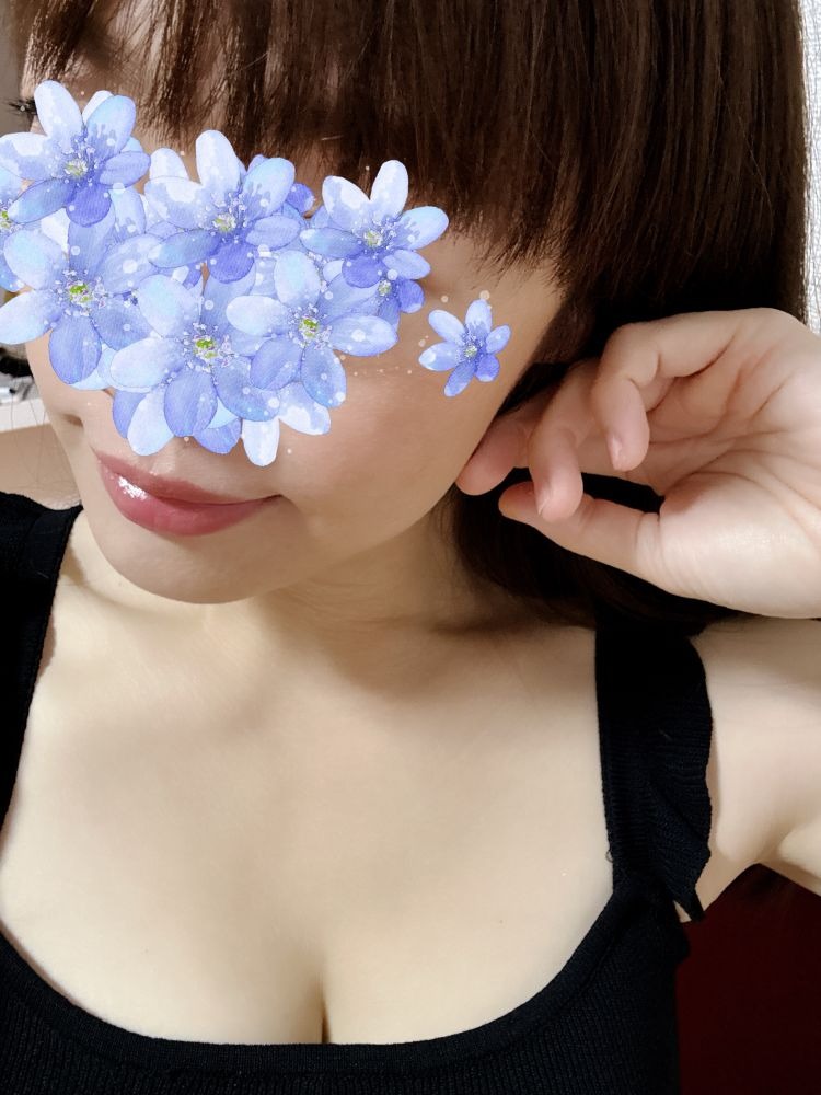 こんにちは&#x1F3B6;の画像