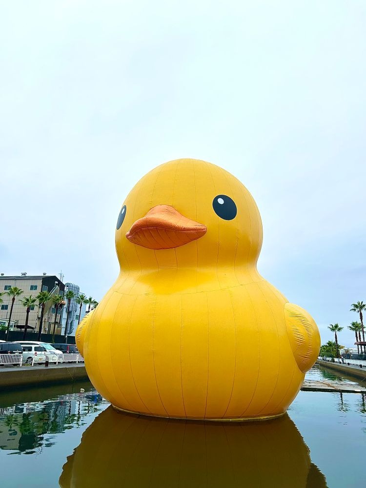 今週の予定&#x1FABF;&の画像