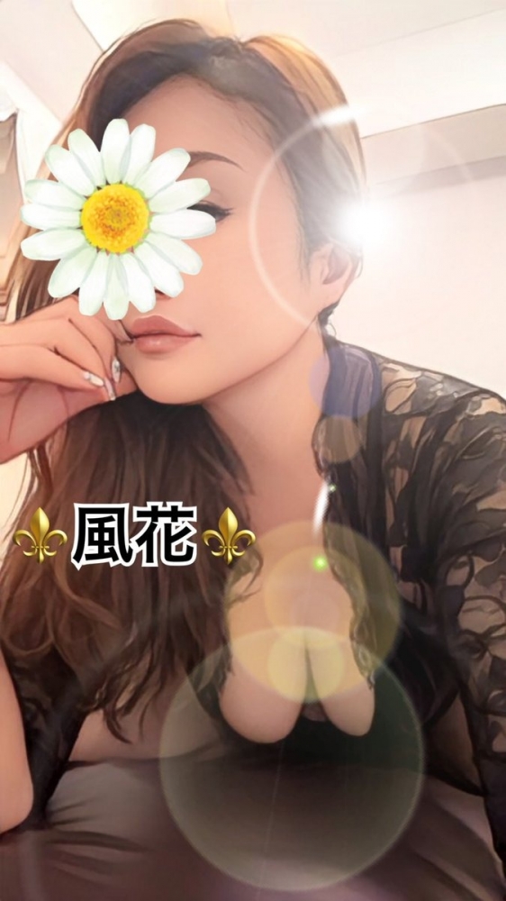 ⚜️⚜️⚜️お知らせ⚜️⚜️⚜️の画像