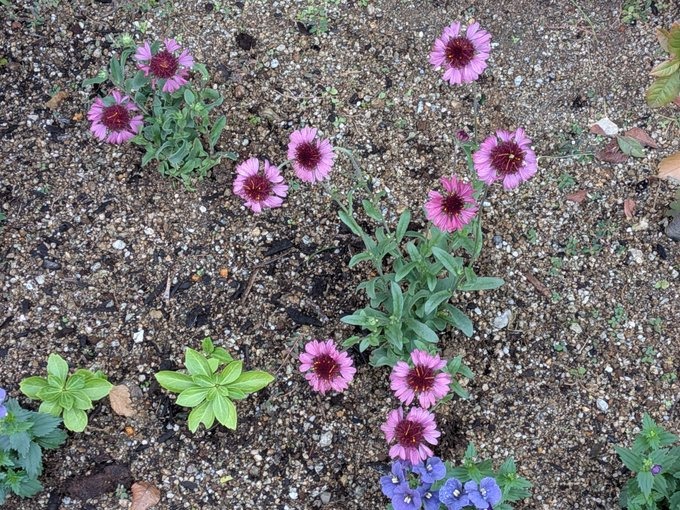 12時20分～ご予約いたの画像