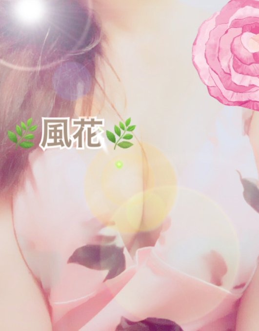 風花（ふうか）の日記