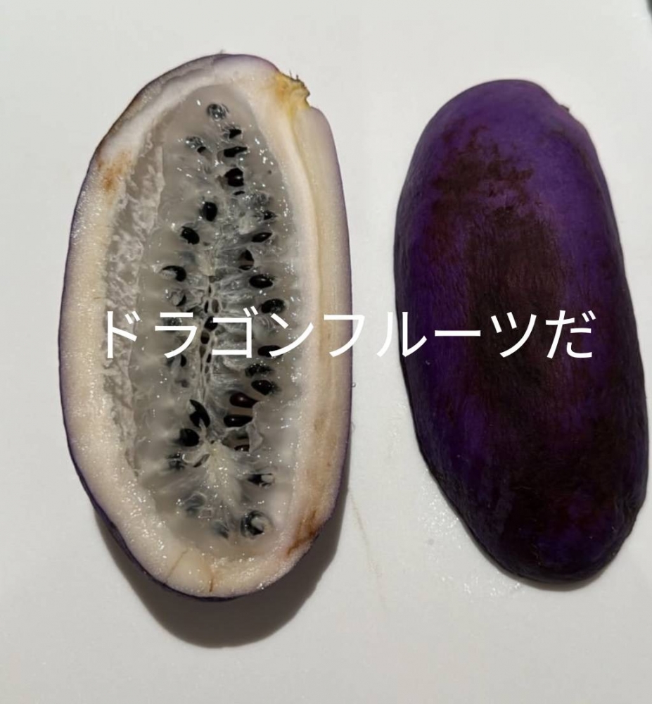 さくじつありがとうごの画像