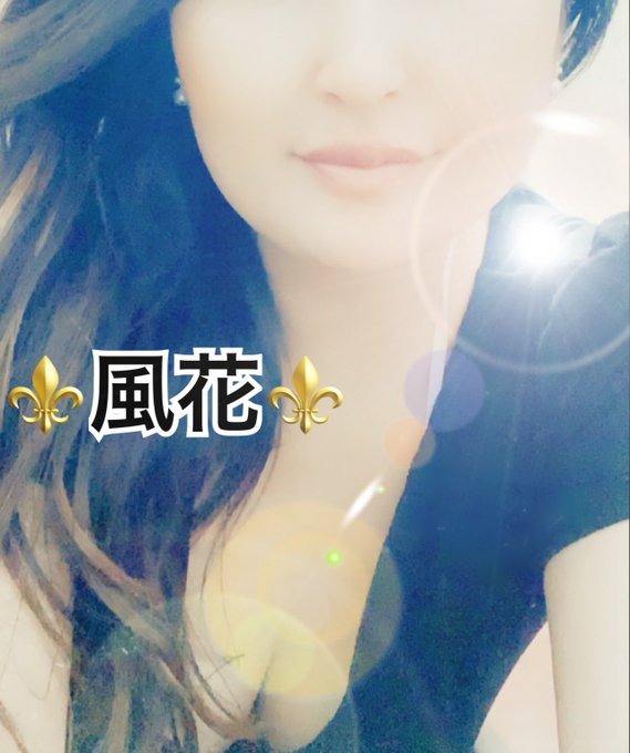 ❤️お礼❤️⚜️リピさま⚜️の画像