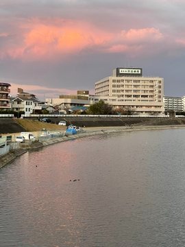 先週の新年会で食べたの画像