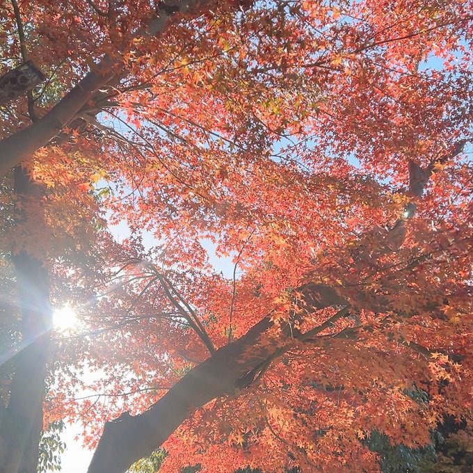 明日の事前予約ありがの画像